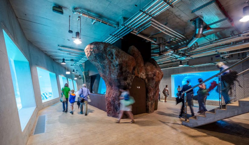 afrykarium-wroclaw
