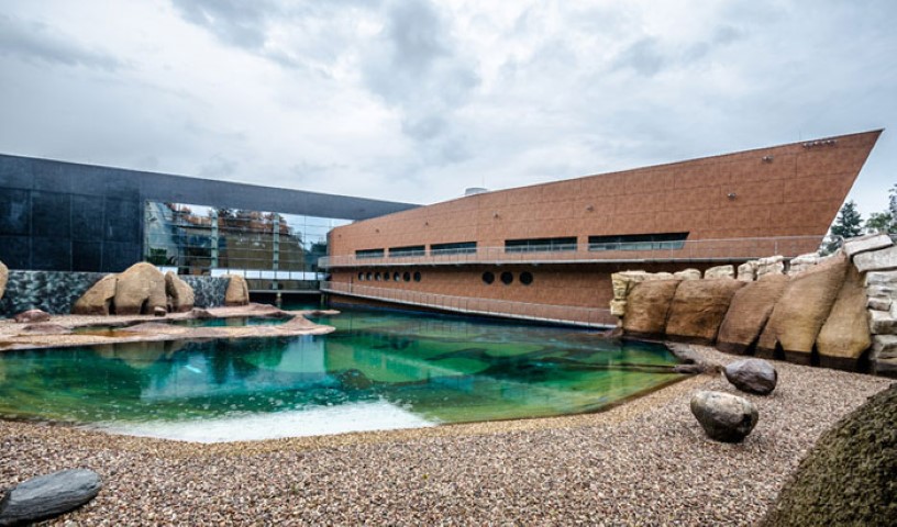 afrykanarium-wroclaw2